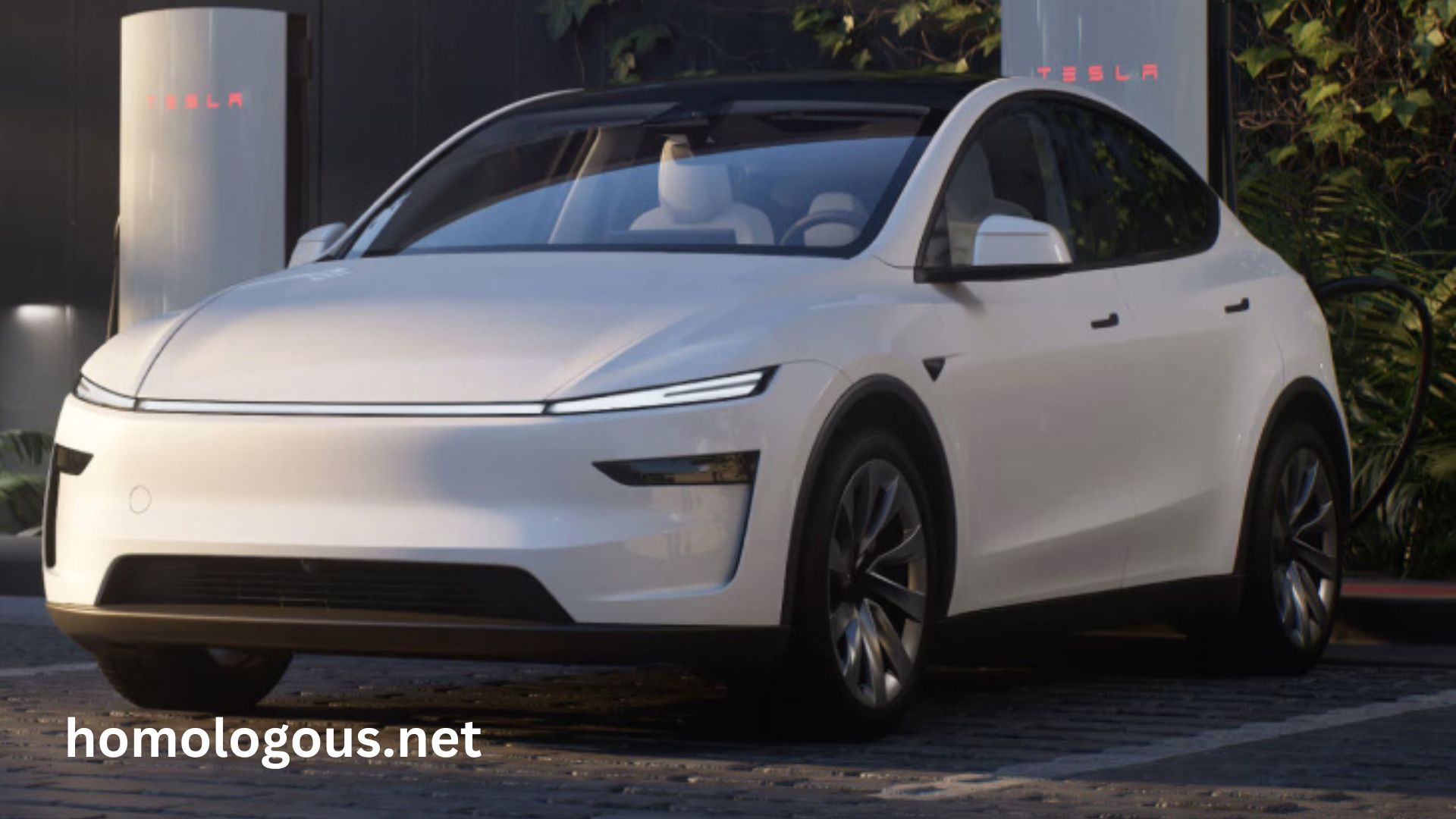 Tesla India Homologation | How This Can Change Future Of Electric Cars In India?